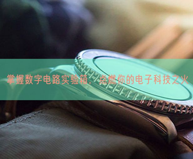 掌握數(shù)字電路實驗箱，點燃你的電子科技之火(圖1)