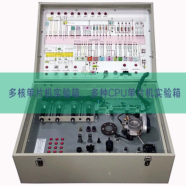 多核單片機(jī)實(shí)驗(yàn)箱，多種CPU單片機(jī)實(shí)驗(yàn)箱(圖1)