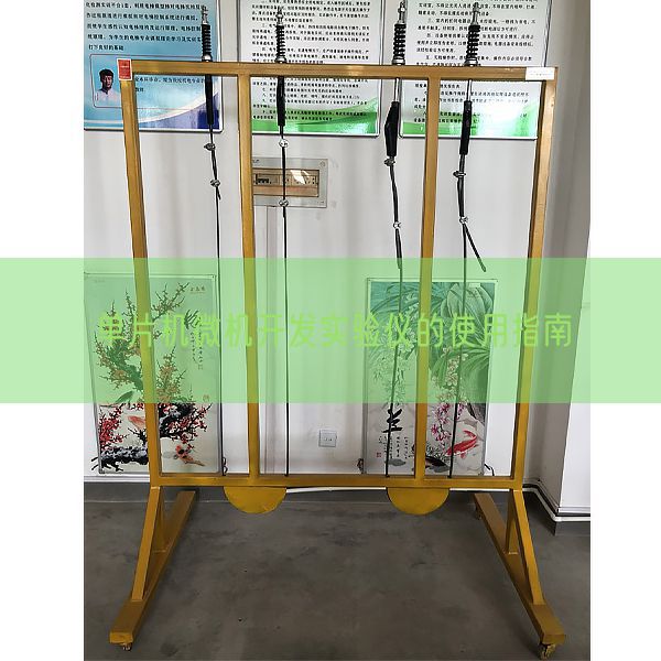 單片機(jī)微機(jī)開(kāi)發(fā)實(shí)驗(yàn)儀的使用指南(圖1) 單片機(jī)微機(jī)開(kāi)發(fā)實(shí)驗(yàn)儀的使用指南(圖1)